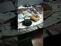 Нам некогда, мы спим...