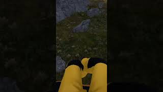 Как стать Альбатросом в РР4 #fishing #stream #рыбалка#рр4