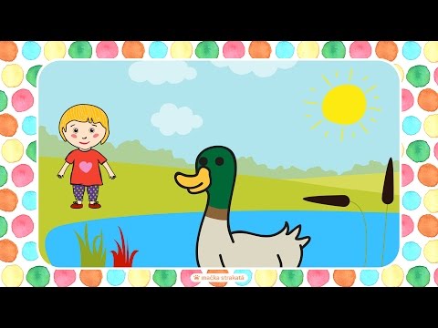 Video: Prečo Kačica Pláva