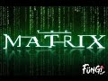 Fungi Flows - The Matrix - Official Music Video (Matrix Rap)