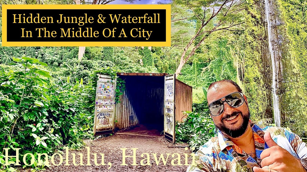Hidden Jungle & Waterfall In Middle Of A City | Honolulu, Hawaii | Manoa Falls Trail #oahu #hawaii