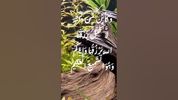الآية 60-61 سورة العنكبوت