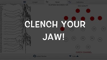 PTB   EEG demo video