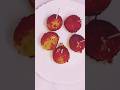 Chicken Lollipop Recipe #chickenrecipe #lolipoprecipe#chickenballs #chicken #snacks #shortsvideo