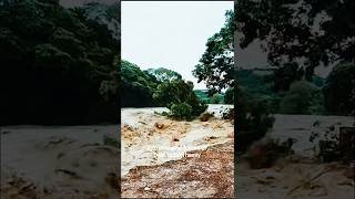 Flood Disaster Caught on Camera 🌊😱 Extreme Flooding in USA | #shorts #shortsfeed #flooding #facts