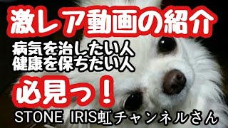 【健康】★拡散用激レアお勧め動画★STONE IRIS虹チャンネルさん