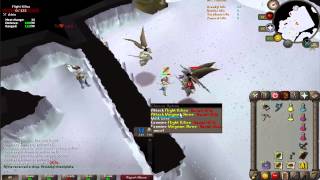 Armadyl chestplate #14