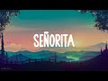 Shawn Mendes - Señorita (Lyrics) Mp3 Song