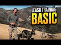 Leash Training Your Dog Part 1 Using a Long Line and Treats - Dog Training Video