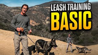 long line leash training