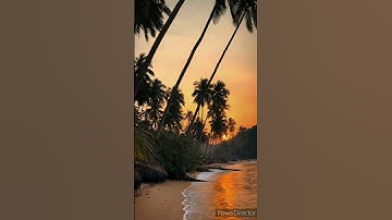 3 فوائد عددية في سورة النمل، في رسالة سليمان ﷺ واسم السورة السجدة فيها