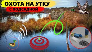 Охота на селезня с подсадной! (2019) Охота на селезня с подсадной! (2019)
