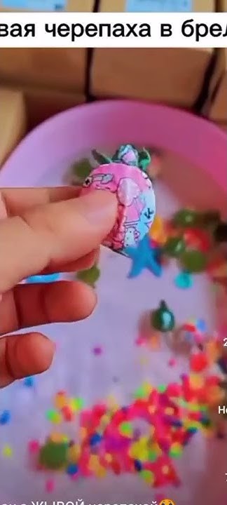Китайские брелки с живыми черепашками…. - YouTube