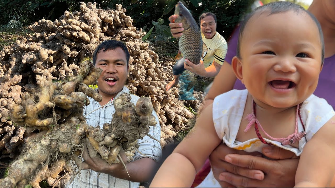 Youtube Money 💵 Investment ke liye Ginger 🫚 kharida | Bought Fish from Fishermen 