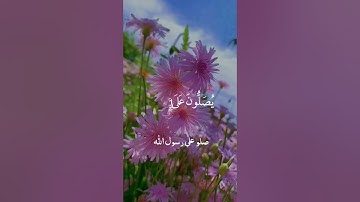 ان الله وملائكته يصلون على النبي القارئ محمد الفقيه #قران_كريم  #اللهم_صل_وسلم_على_نبينا_محمد