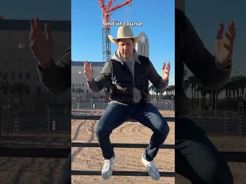 We Took Down Vegas Feat. Mikki Mase