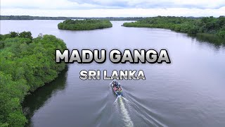 Madu River Balapitiya Sri Lanka 🇱🇰 | Best 4K Video