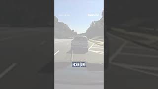 Police use GRAPPLING HOOK to end car chase #foxnews #news