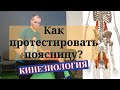 Мануально мышечное тестирование. Квадратная мышца и подвздошно-поясничная мышца. Кинезиология