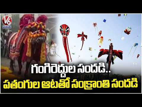 Sankranthi Festival Celebration Held Grandly Across Telangana With Basavanna Dance & Kite Flying| V6 - V6NEWSTELUGU