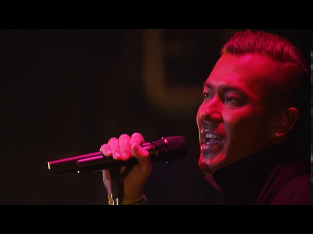 米倉利紀「pink ELEPHANT」全曲試聴 - YouTube