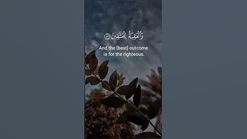 سورة فاطر آيه  { ١٠ } #المصحف ##quran #اكسبلور #duet #islamicfestival #راحة_نفسية #الرحمن #islamicho