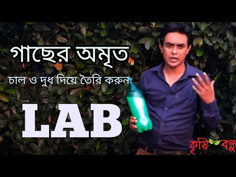 ভিডিও: জৈবসার হিসেবে কোন ব্যাকটেরিয়া ব্যবহার করা হয়?