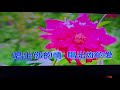 浪花の灯り/大月みやこ/禾子翻唱