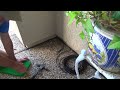 How to Water Flower Pots on Concrete Patio Porch for Dummies