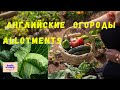 Английские огороды. English allotments