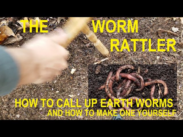 The Cheap & Easy Way To Keep Nightcrawlers / Worms - How To Store Them  Indefinitely (Video 129) 