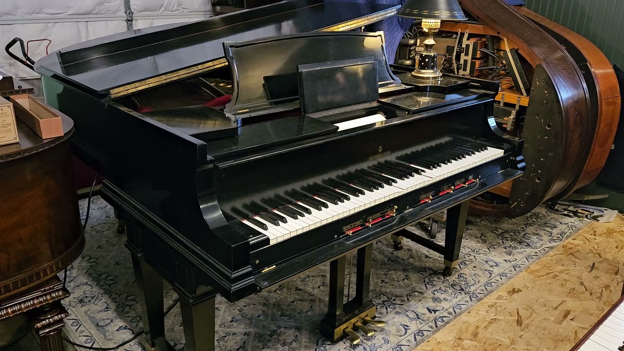1925 Steinway XR Duo Art - Shakin' The Blues Away - Phil Ohman 