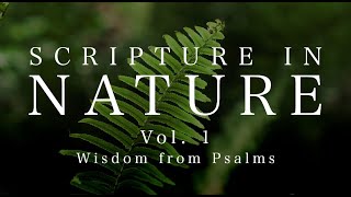 Scripture In Nature | Vol. 1 | Wisdom from Psalms | 4K Video screenshot 3