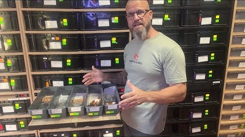 Ball python breeding. Desert ghost & Lavender albino pied projects.