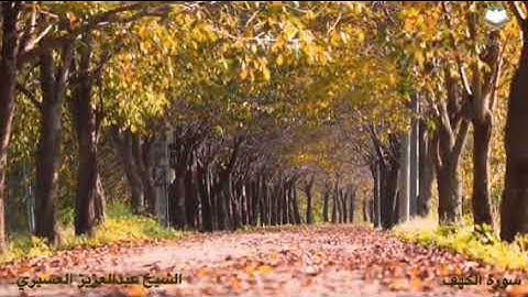 خواتيم سورة الكهف || القارئ عبدالعزيز العسيري