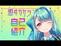 【自己紹介】想ヰカケラ【新人Vtuber】