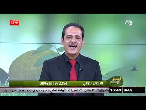 لتخلص من تشققات الرجلين بشكل نهائي مع خبير الاعشاب المرحوم حسن خليفه