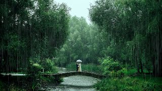 [들어야잔다] 비를 맞아도 좋아요함께하는 빗소리 | 수면 유도 | 불면증 개선 | 집중 모드| The Rain's Harmony With Us | Deep sleep | ASMR