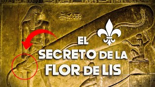 Flor de Lis: Simbolismo y Significado Oculto