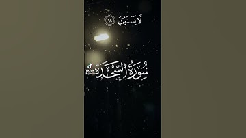 القارئ علي صلاح عمر سورة سجدة