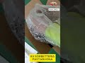 VIDEO Accessorio Sorbetteria per Macchina per Pasta PASTABUONA Sirge