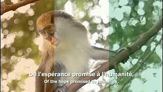 National Anthem of Ivory Coast (Côte d'Ivoire) - 
