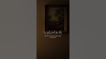 الشيخ #ياسر_الدوسري من سورة #النجم