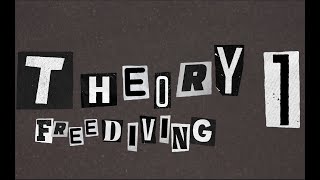 Theory 1 in AIDA2