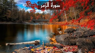(قل إني أمرت أن أعبد الله مخلصا له الدين) سورة الزمر بصوت الطفل محمد جنيد