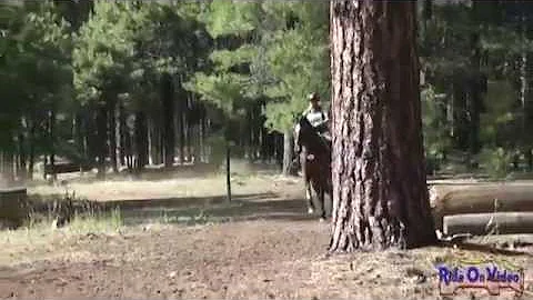078XC Terry Kemp Open Beginner Novice Cross Countr...