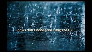 Cash cash - Now I don't need your wings to fly (HERO LYRICS) by : Christina Perri