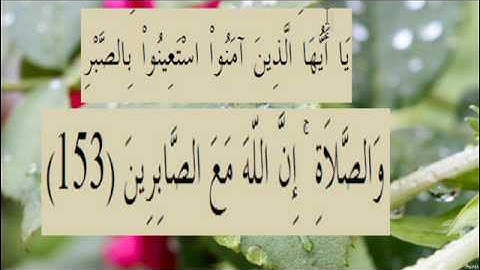 القران الكريم سورة البقرة الاية 153