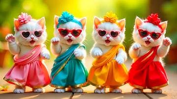 बिल्ली का डांस | Cat videos | funny cat dance 😆💃| Videos for cats billi dance #funny#dancingcat #cat