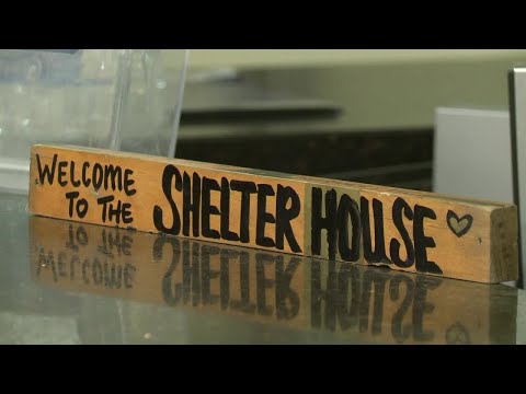Shelter Opens Lobby